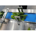 Automatic spinach pillow bag packing machine